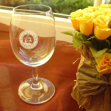 Ośrodek wypoczynkowy Majatek Gize Marczak Wronki (Greater Poland)