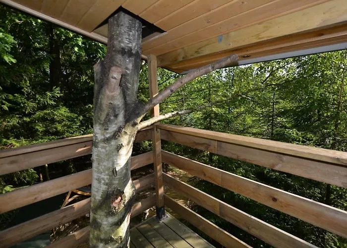 Majatek Gize Marczak * Olecko