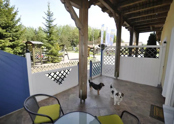 Majatek Gize Marczak Olecko